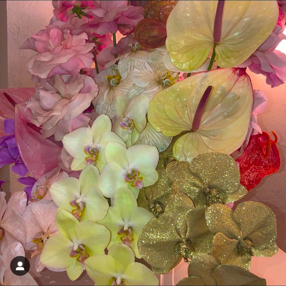 Meet your Posher, Marie